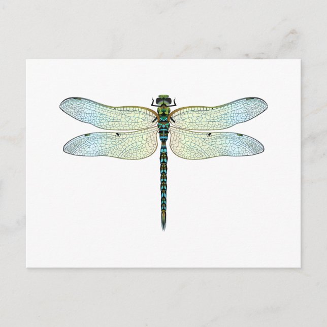 DragonFly Postkarte (Vorderseite)