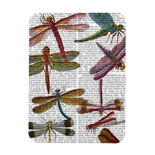 Dragonfly Print 3 Magnet (Vertikal)