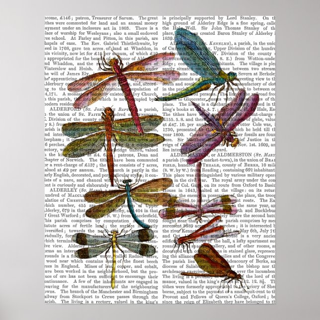 Dragonfly Print 4 Poster (Vorne)