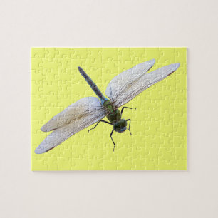 Dragonfly Puzzle