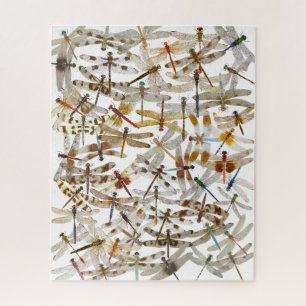 Dragonfly-Puzzle Puzzle