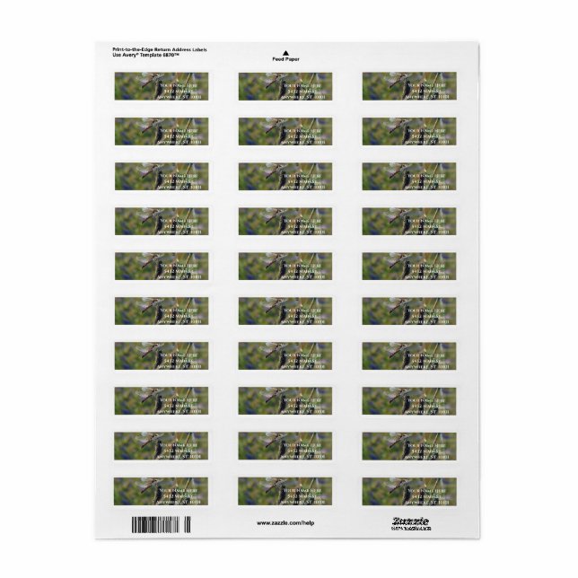 Dragonfly Return Address Label (Vorne)