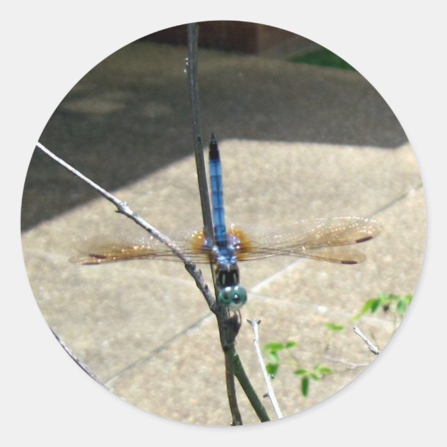 Dragonfly Runder Aufkleber (Vorderseite)