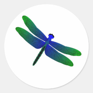 Dragonfly Runder Aufkleber