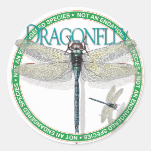 Dragonfly-Sticker Runder Aufkleber