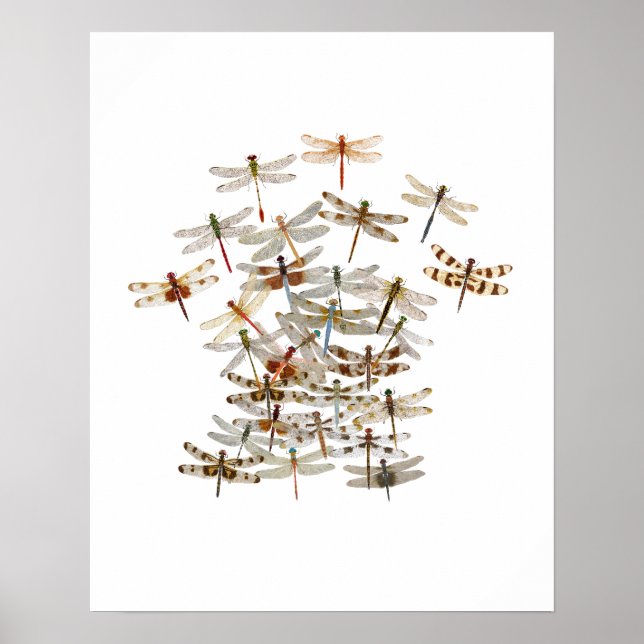 Dragonfly Swarm Poster (Vorne)
