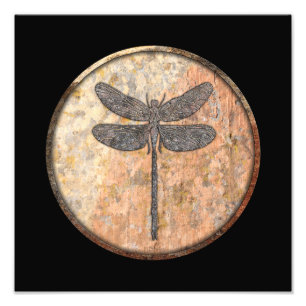 Dragonfly Talking Canyons, New Mexico Fotodruck