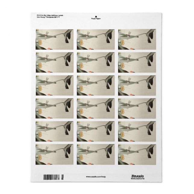 Dragonfly und Lotus, 1920 von Ohara Koson Adressaufkleber (Vorne)