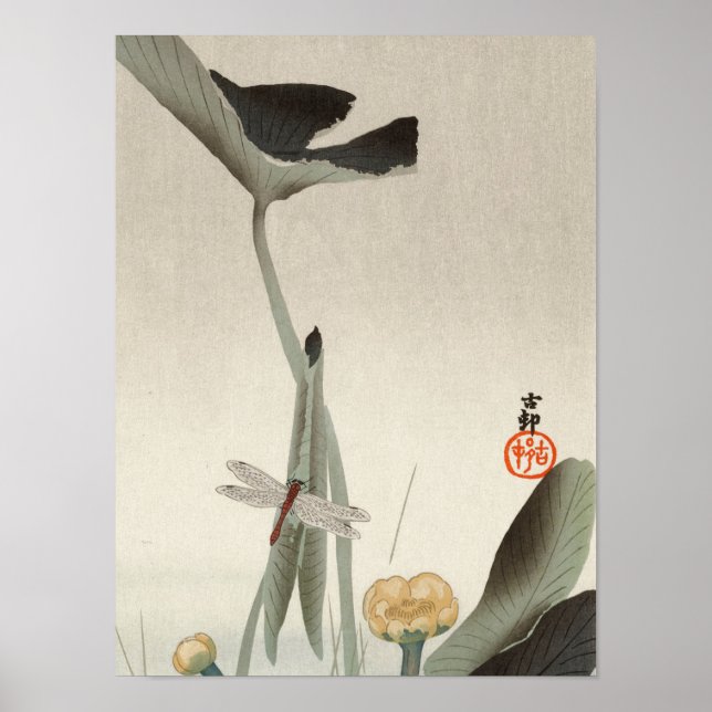 Dragonfly und Lotus, 1920 von Ohara Koson Poster (Vorne)