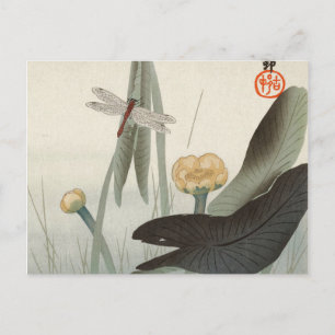 Dragonfly und Lotus, 1920 von Ohara Koson Postkarte