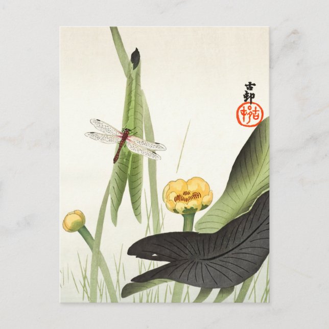 Dragonfly und Lotus von Ohara Koson, japanische Ku Postkarte (Vorderseite)