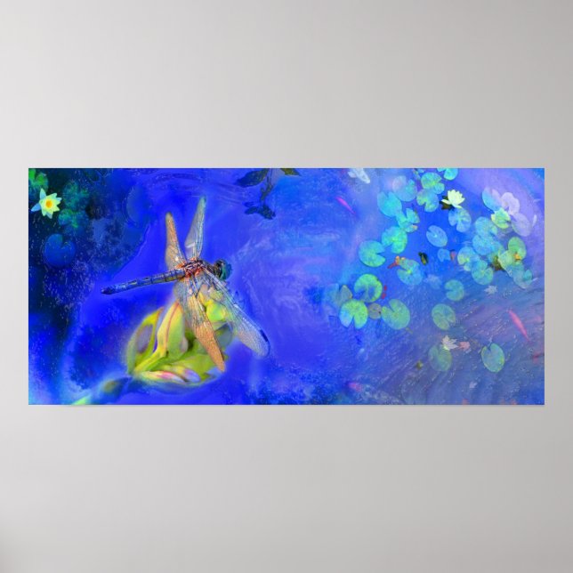 Dragonfly View , Poster (Vorne)