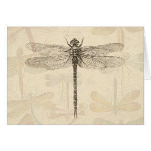 Dragonfly Vintag Antike klassische Natur