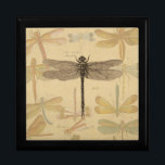 Dragonfly Vintag Antike klassische Natur Erinnerungskiste<br><div class="desc">Vintage Libelle Antiquitätenbild einer Libelle - Diese kleine Libelle ist ein antikes Bild einer in Schwarz und Weiß gezeichnet Libelle mit einem Hintergrund von farbenfrohen Libellen gegen antikes Papier.</div>
