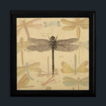 Dragonfly Vintag Antike klassische Natur Erinnerungskiste<br><div class="desc">Vintage Libelle Antiquitätenbild einer Libelle - Diese kleine Libelle ist ein antikes Bild einer in Schwarz und Weiß gezeichnet Libelle mit einem Hintergrund von farbenfrohen Libellen gegen antikes Papier.</div>