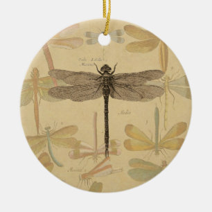 Dragonfly Vintag Antike klassische Natur Keramikornament