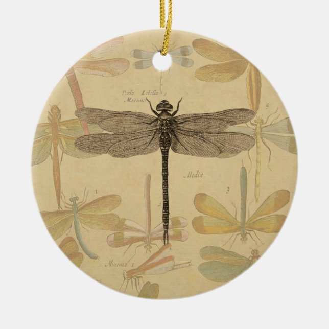 Dragonfly Vintag Antike klassische Natur Keramikornament (Vorne)