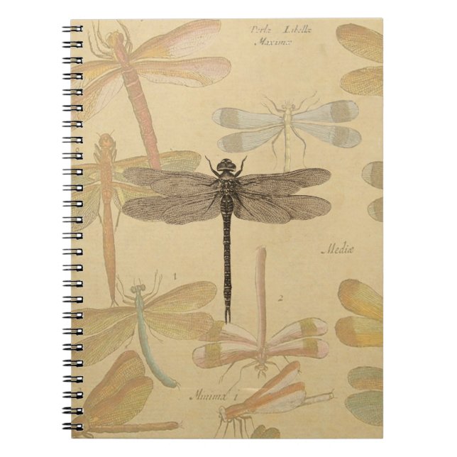 Dragonfly Vintag Antike klassische Natur Notizblock (Vorderseite)