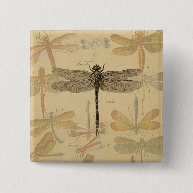 Dragonfly Vintag Antique Classic Zeichnend Button (Vorderseite)