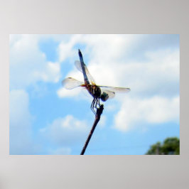Dragonfly ~ Vorbereitung auf den Start Poster