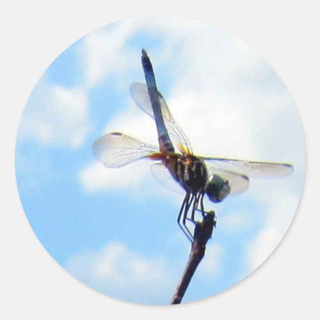 Dragonfly ~ Vorbereitung auf den Start Runder Aufkleber (Vorderseite)