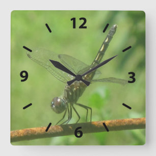 Dragonfly Wall Clock Quadratische Wanduhr