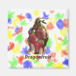 Dragonfruit hielt in den Fingern mit Text-Foto Magnet