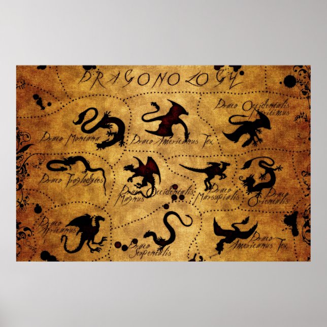 Dragonologie Poster (Vorne)