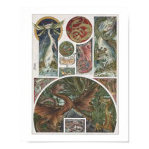 Dragons Illustration - von Anton Seder