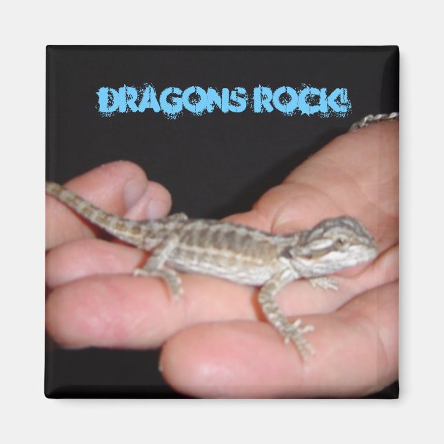Dragons Rock My World Magnet (Vorne)