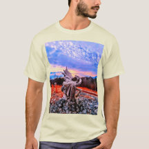 Dragonware und kidtastische Designs