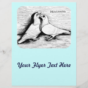 Dragoon Tauben Weißes Paar Flyer
