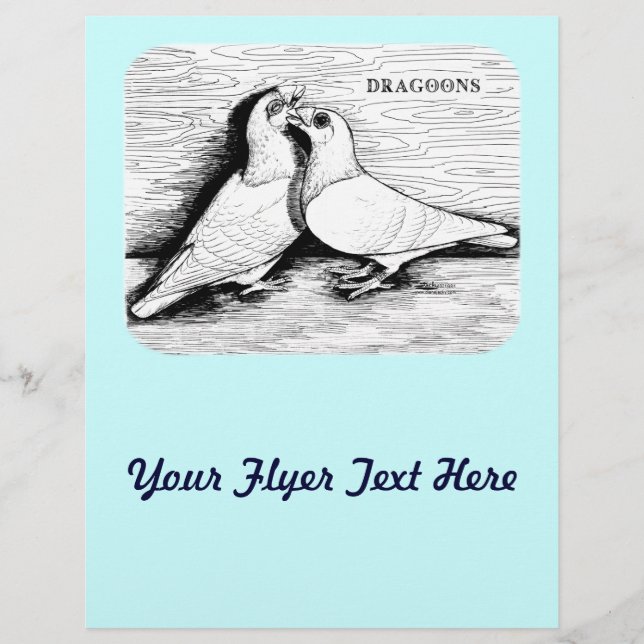 Dragoon Tauben Weißes Paar Flyer (Vorne)