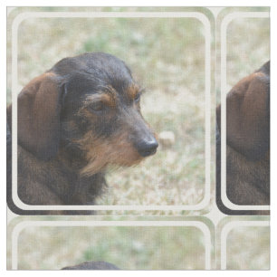 Draht behaarter Daschund Hund Stoff