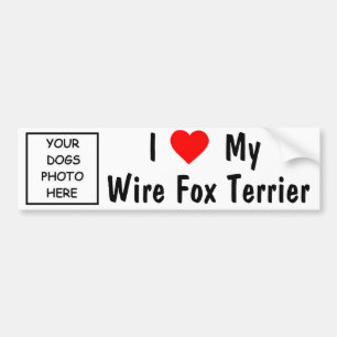 Draht-Foxterrier Autoaufkleber