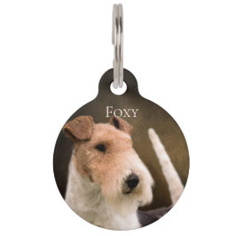 Draht-Foxterrier Haustiermarke