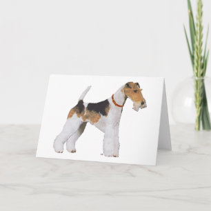 Draht-Foxterrier Karte