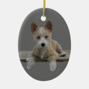 Draht-Portugiese Podengo Pequeno Keramikornament