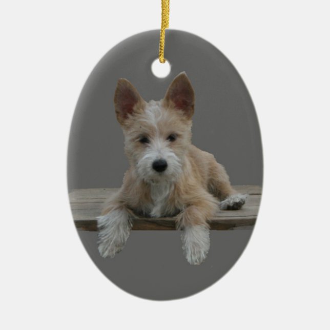 Draht-Portugiese Podengo Pequeno Keramikornament (Vorne)