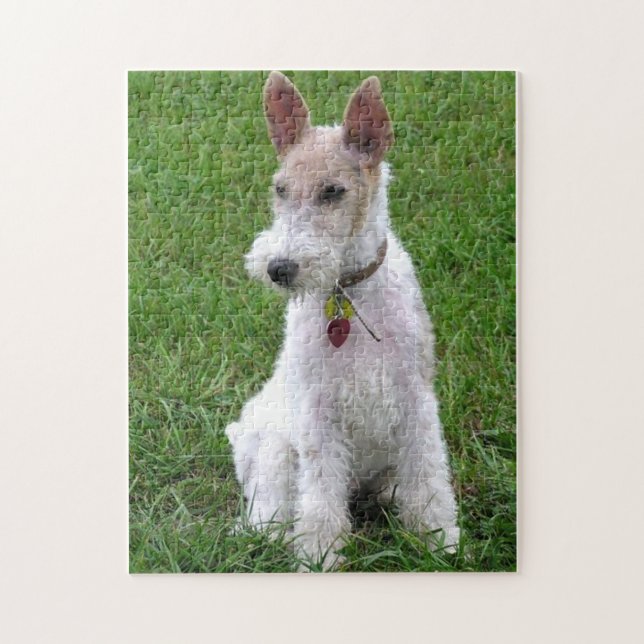 Drahtfuchs-Terrier sitzend Puzzle (Vertikal)