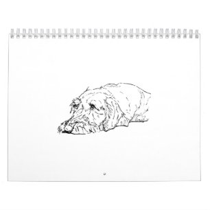 Drahthaar-Dachshund-Kalender 2027 Kalender