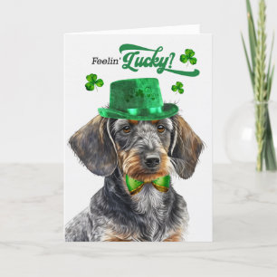 Drahthaar Dackel Hund Lucky St Patrick's Day Feiertagskarte