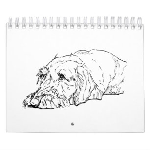 Drahthaar-Dackel-Kalender 2027 Kalender