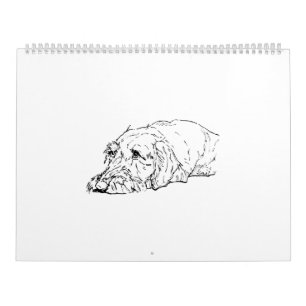 Drahthaar-Dackel-Kalender 2027 Kalender
