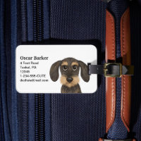 Drahthaar Dackel | Niedlicher Cartoon Dog Teckel