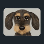 Drahthaar Dackel | Niedlicher Cartoon Dog Teckel Magnet<br><div class="desc">A fun kitchen magnet for wire haired Dachshund lovers. Wild boar and tan colored Teckel. Visit Jenn's Doodle World for even more requories requories for home and office with this funny dog and more original wiener dog designs.</div>