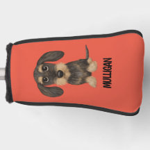 Drahthaar Dackel | Niedlicher Hund Teckel Individu