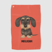 Drahthaar Dackel | Niedlicher Hund Teckel Individu