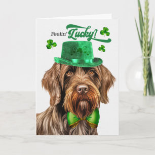 Drahthaar Griffon Lucky St. Patrick's Day Feiertagskarte