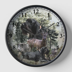 Drahthaar Pointer, Jagd im Freien Uhr